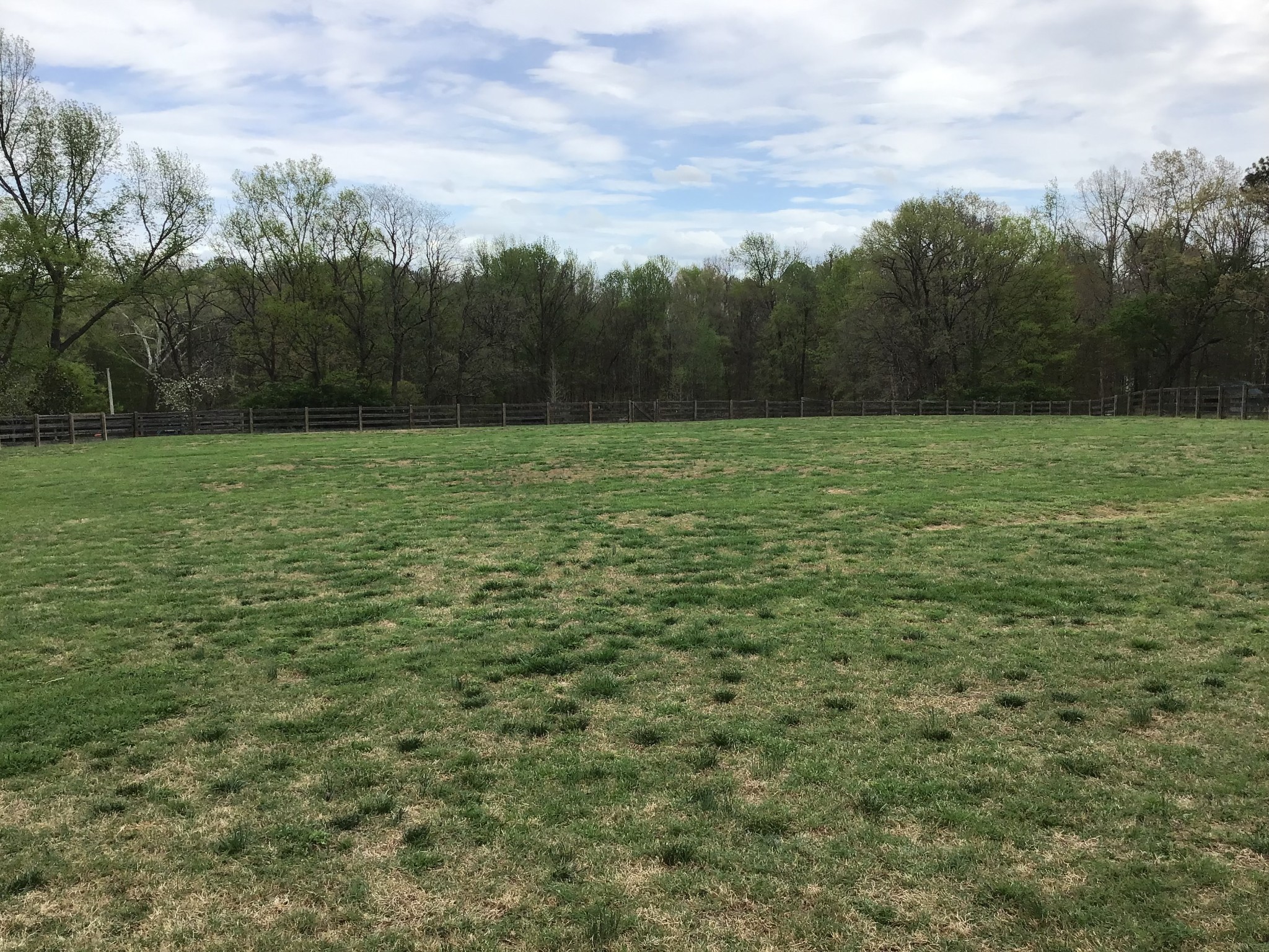 8960 New Chapel Road Springfield, TN 37172 - Photo 9 of 49