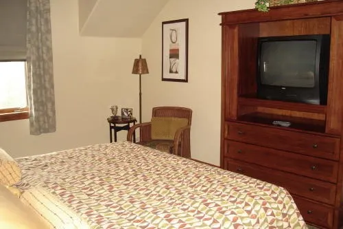 a bedroom with a bed and a television