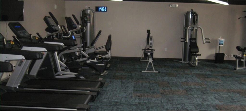 11917 Bayonet Lane, Unit 11917 New Port Richey, FL 34654 - Photo 54 of 57