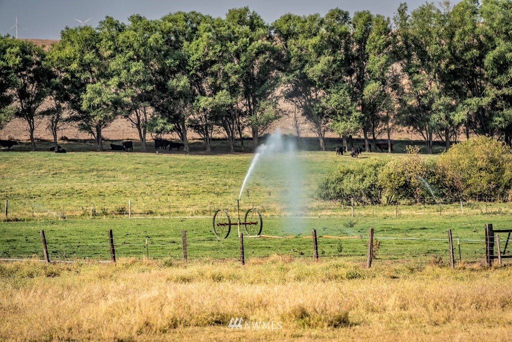 909 Stovall Road Walla Walla, WA 99362 - Photo 4 of 40