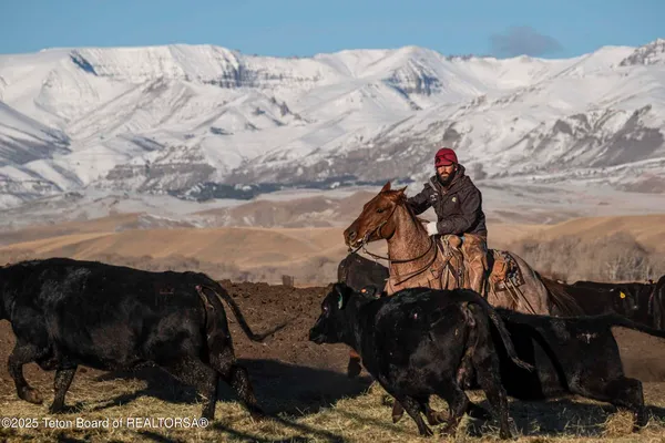 $52,800,000 | 20 A Road 5Ru, Meeteetse, WY 82433