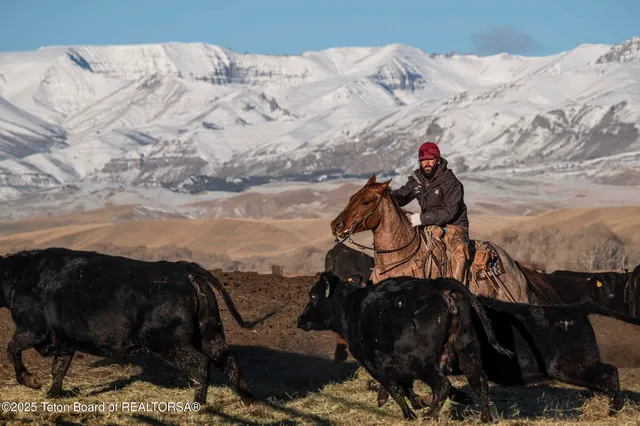 $52,800,000 | 20 A Road 5Ru, Meeteetse, WY 82433