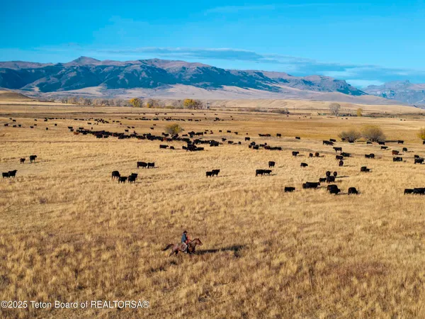 $52,800,000 | 20 A Road 5Ru, Meeteetse, WY 82433