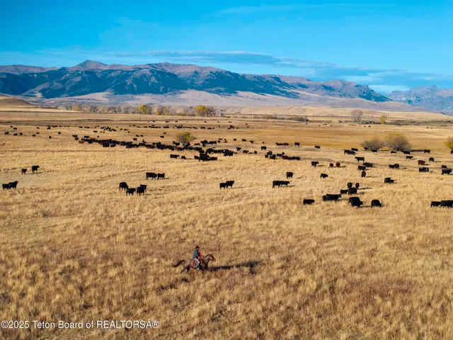 $52,800,000 | 20 A Road 5Ru, Meeteetse, WY 82433