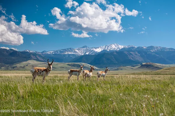 $52,800,000 | 20 A Road 5Ru, Meeteetse, WY 82433