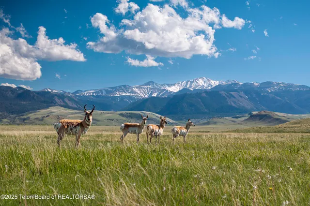 $52,800,000 | 20 A Road 5Ru, Meeteetse, WY 82433