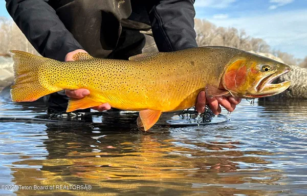 $52,800,000 | 20 A Road 5Ru, Meeteetse, WY 82433