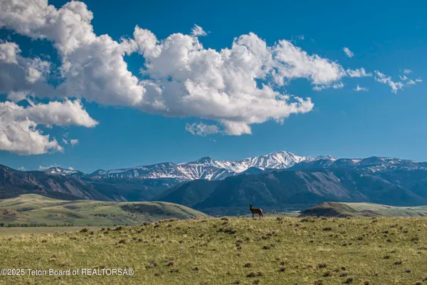 $52,800,000 | 20 A Road 5Ru, Meeteetse, WY 82433