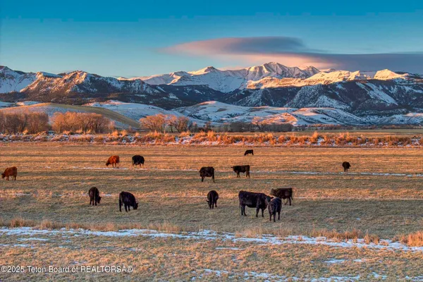 $52,800,000 | 20 A Road 5Ru, Meeteetse, WY 82433