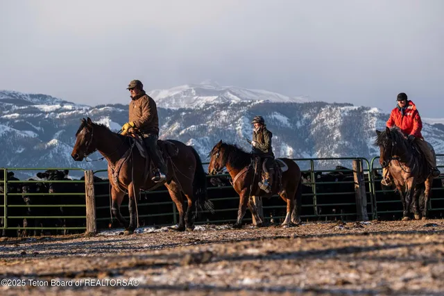 $52,800,000 | 20 A Road 5Ru, Meeteetse, WY 82433