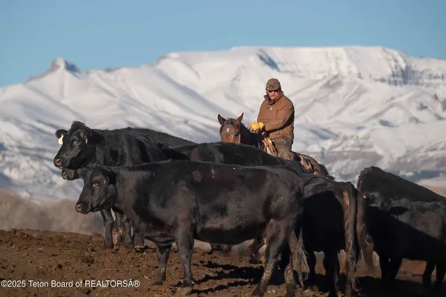 $52,800,000 | 20 A Road 5Ru, Meeteetse, WY 82433