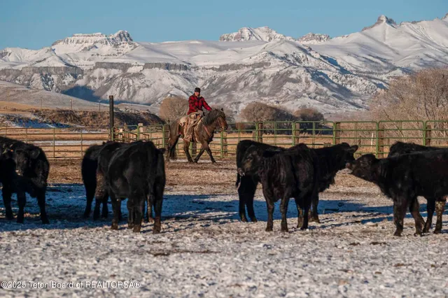 $52,800,000 | 20 A Road 5Ru, Meeteetse, WY 82433