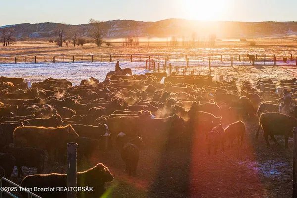 $52,800,000 | 20 A Road 5Ru, Meeteetse, WY 82433