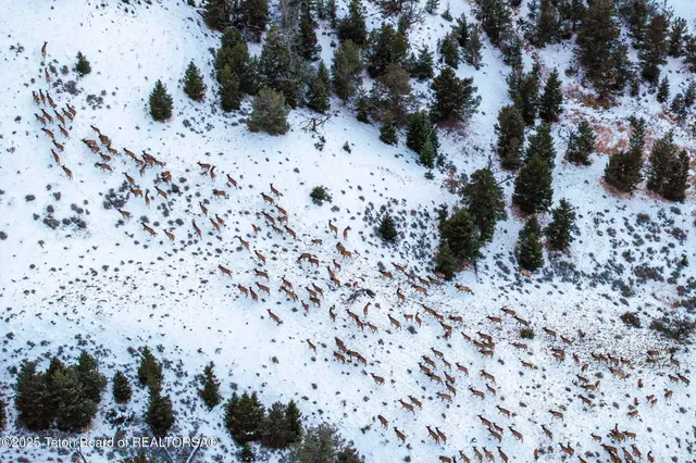 $52,800,000 | 20 A Road 5Ru, Meeteetse, WY 82433