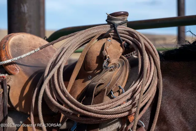 $52,800,000 | 20 A Road 5Ru, Meeteetse, WY 82433