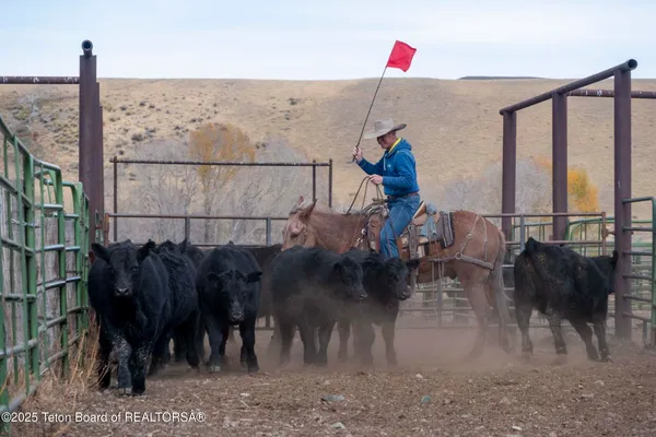 $52,800,000 | 20 A Road 5Ru, Meeteetse, WY 82433