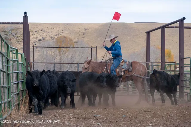 $52,800,000 | 20 A Road 5Ru, Meeteetse, WY 82433