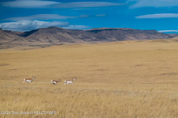 $52,800,000 | 20 A Road 5Ru, Meeteetse, WY 82433