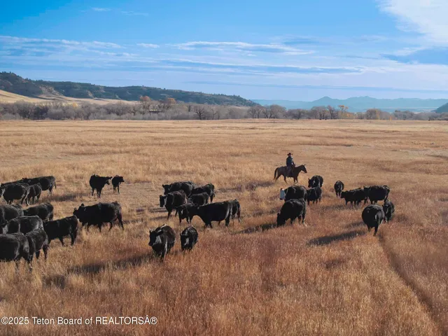 $52,800,000 | 20 A Road 5Ru, Meeteetse, WY 82433