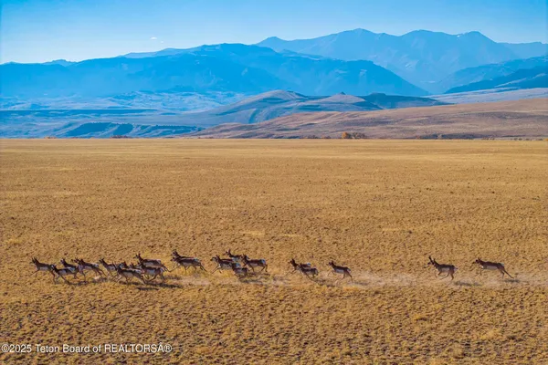 $52,800,000 | 20 A Road 5Ru, Meeteetse, WY 82433