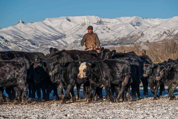 $52,800,000 | 20 A Road 5Ru, Meeteetse, WY 82433