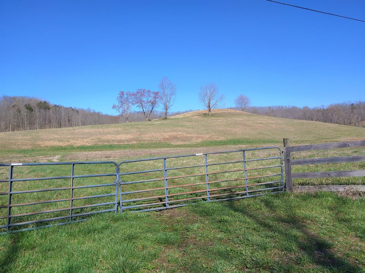 999 Pine Hill Brock Road London, KY 40741 - Photo 1 of 25 Photo 1