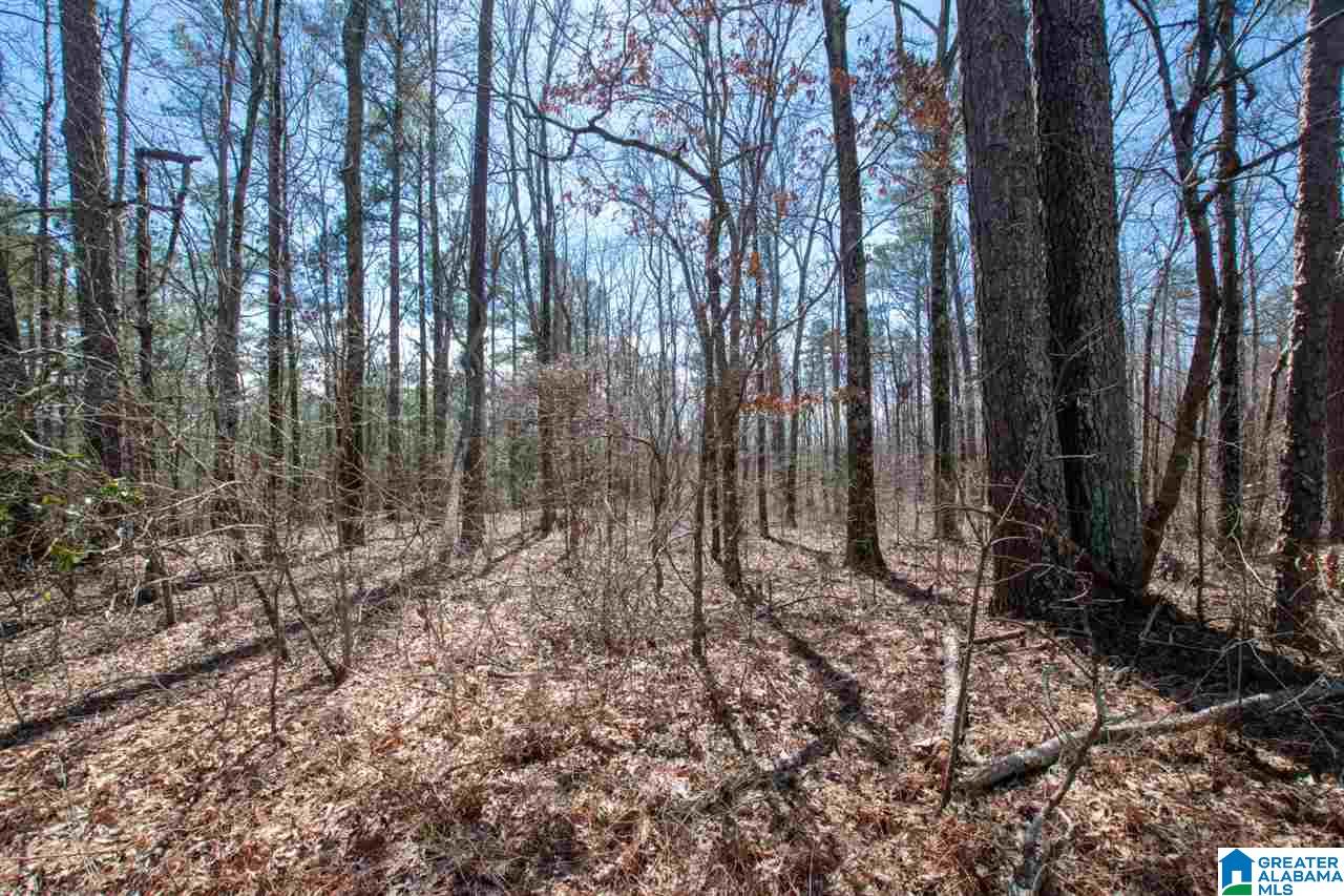 960 Rock Springs Road Warrior, AL 35180 - Photo 34 of 46