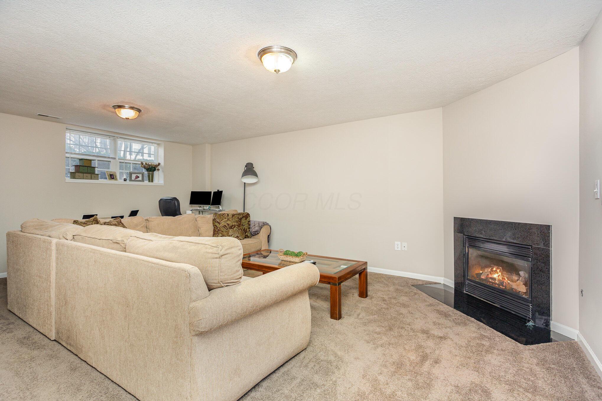 6289 Needletail Road Columbus, OH 43230 - Photo 16 of 23 Enjoy the cool nights in front of the gas fireplace.