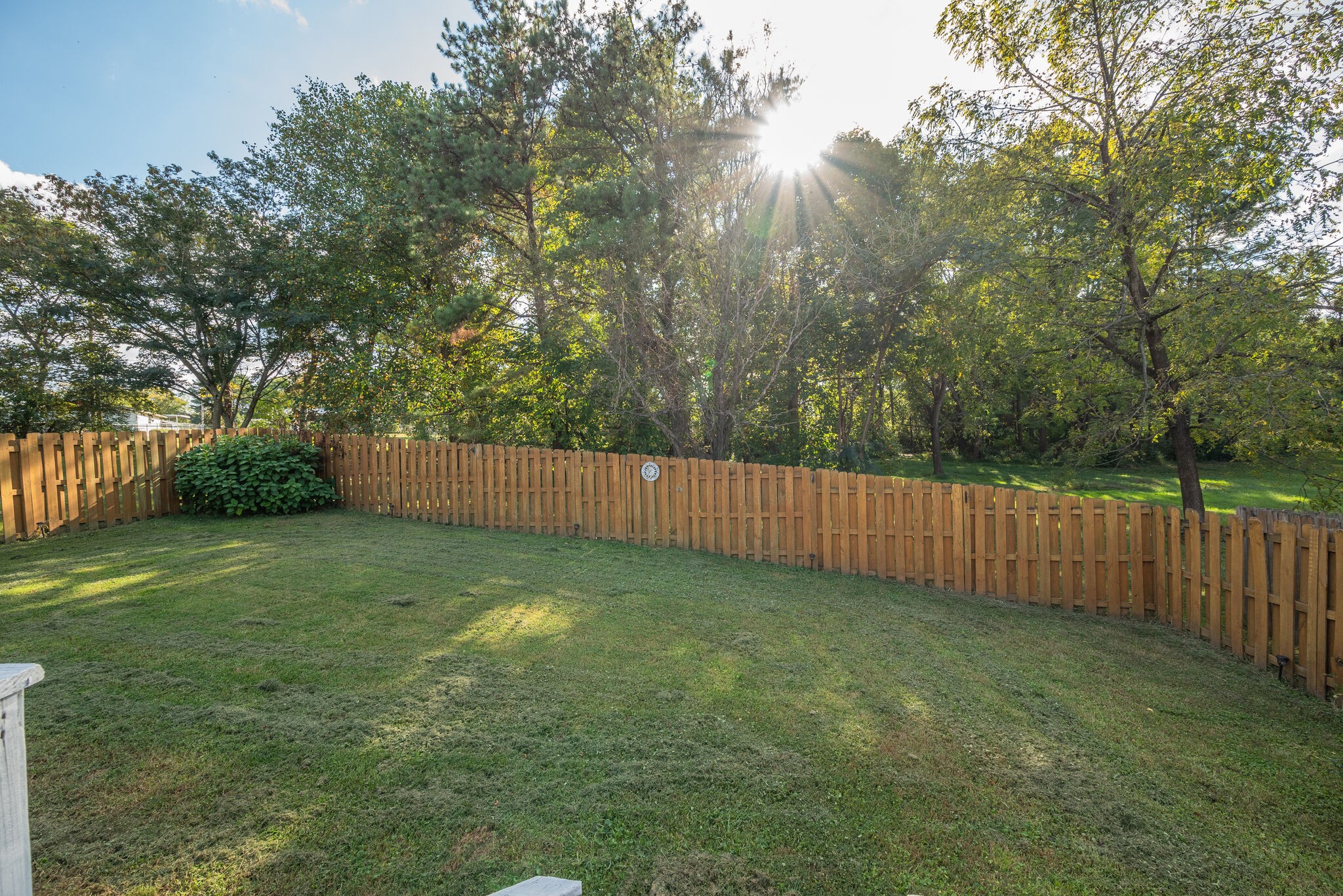 307 Red Bud Court Springfield, TN 37172 - Photo 30 of 33 a view of a backyard with a large tree and wooden fence