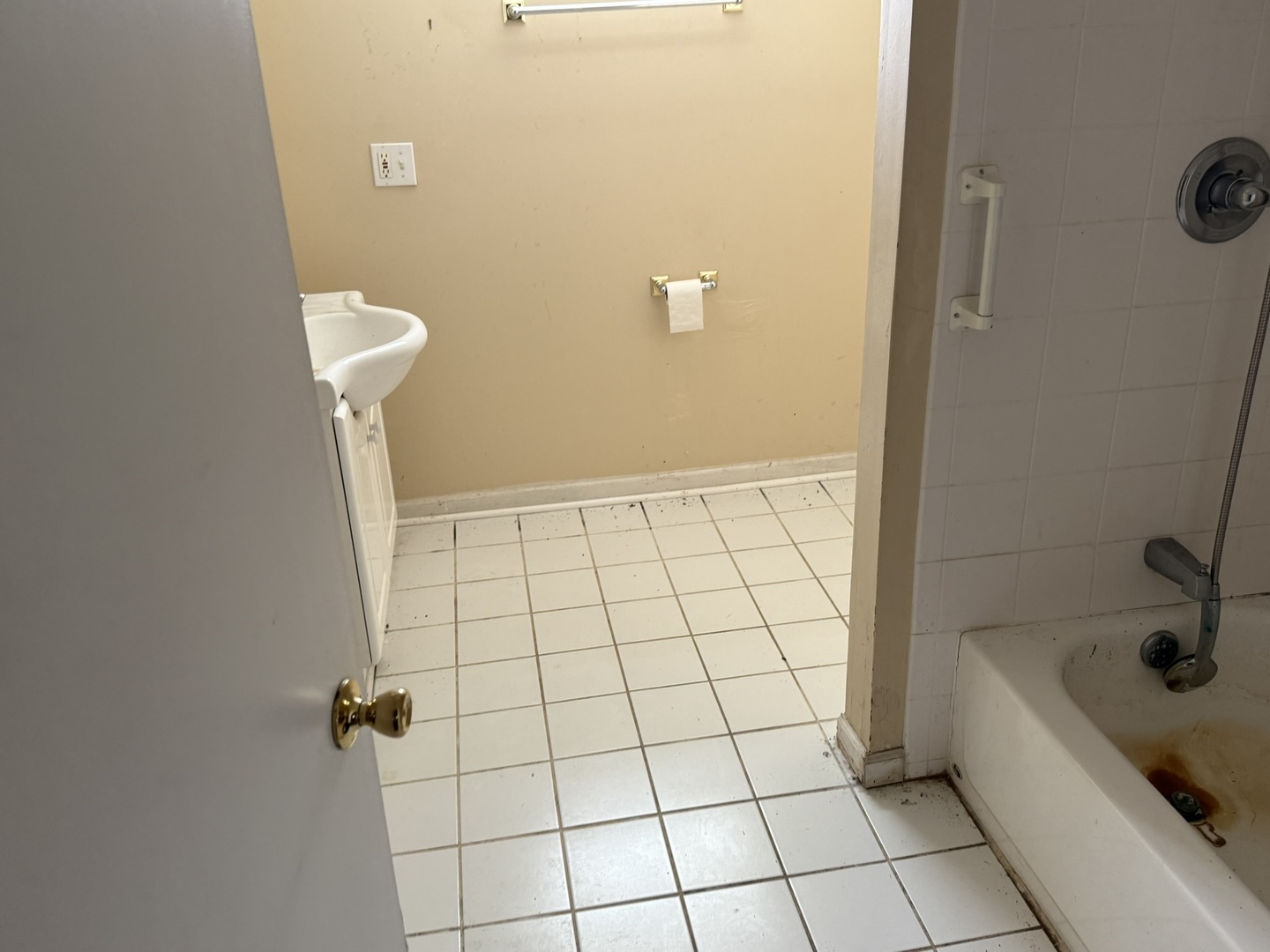 8114 South Anthony Avenue Chicago, IL 60617 - Photo 18 of 25 a bathroom with a bathtub