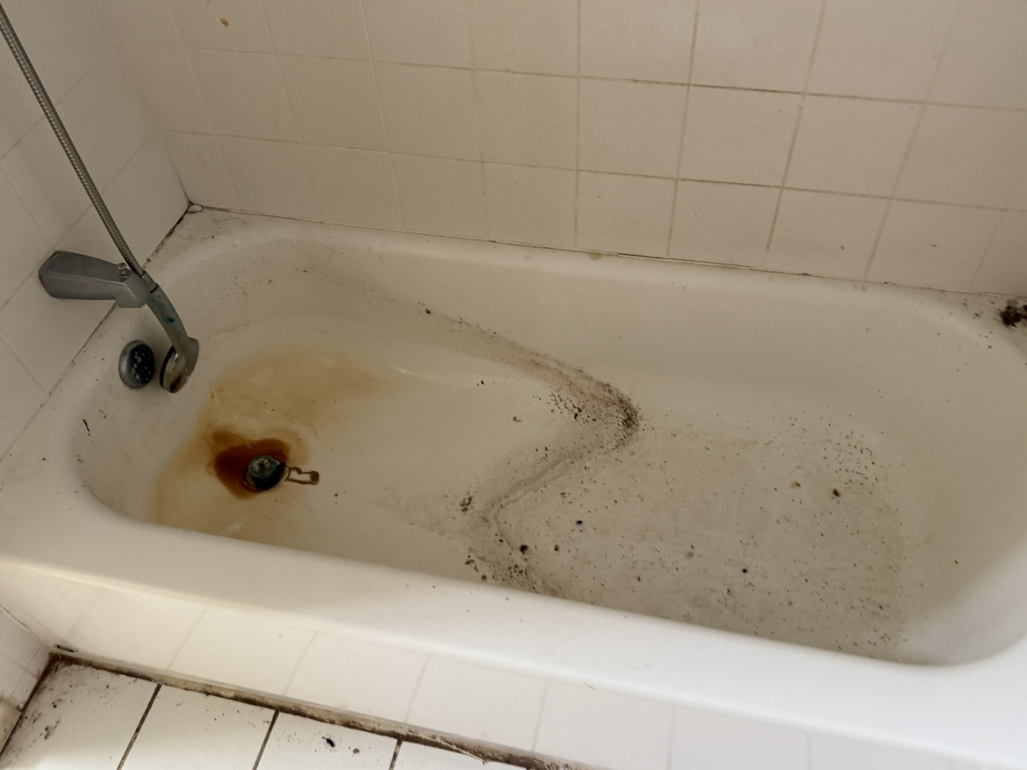 8114 South Anthony Avenue Chicago, IL 60617 - Photo 19 of 25 a bathroom with a bathtub