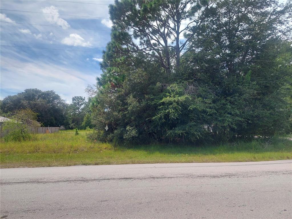 0 Cedar Road Ocala, FL 34472 - Photo 2 of 4 a view of a swimming pool with a yard