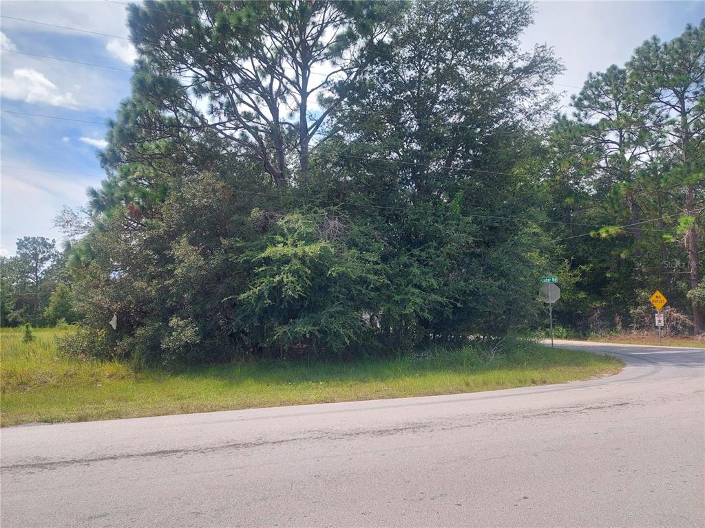 0 Cedar Road Ocala, FL 34472 - Photo 3 of 4 a view of a swimming pool and a yard