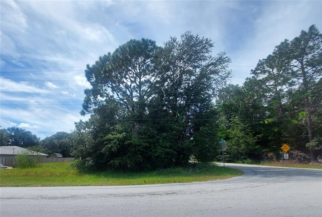 0 Cedar Road Ocala, FL 34472 - Photo 4 of 4 a view of a garden with potted plants and large trees