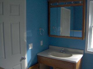 9036 Main Street Maybee, MI 48159 - Photo 9 of 17 MASTER VANITY