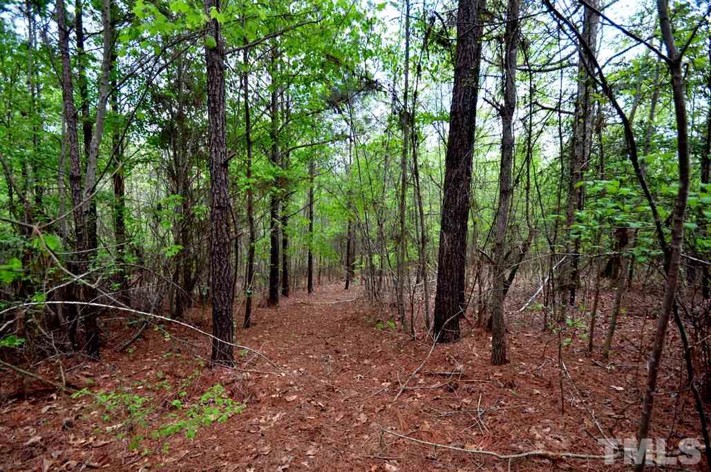 489 Alston Road Apex, NC 27523 - Photo 11 of 25 Gallery Image 11