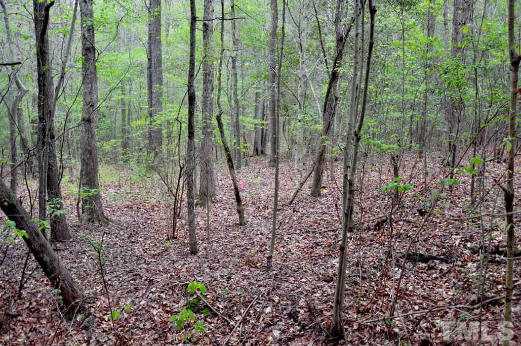 489 Alston Road Apex, NC 27523 - Photo 13 of 25 Gallery Image 13
