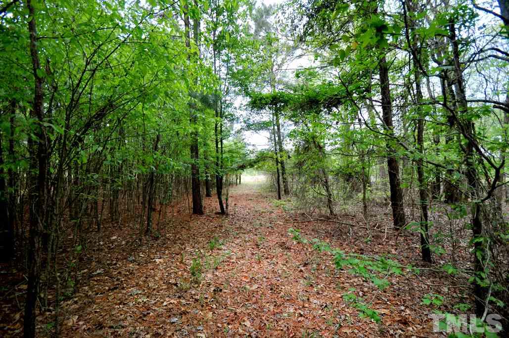 489 Alston Road Apex, NC 27523 - Photo 14 of 25 Gallery Image 14