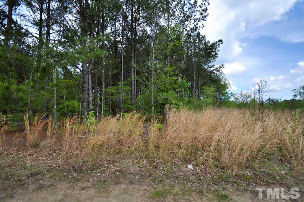 489 Alston Road Apex, NC 27523 - Photo 15 of 25 Gallery Image 15