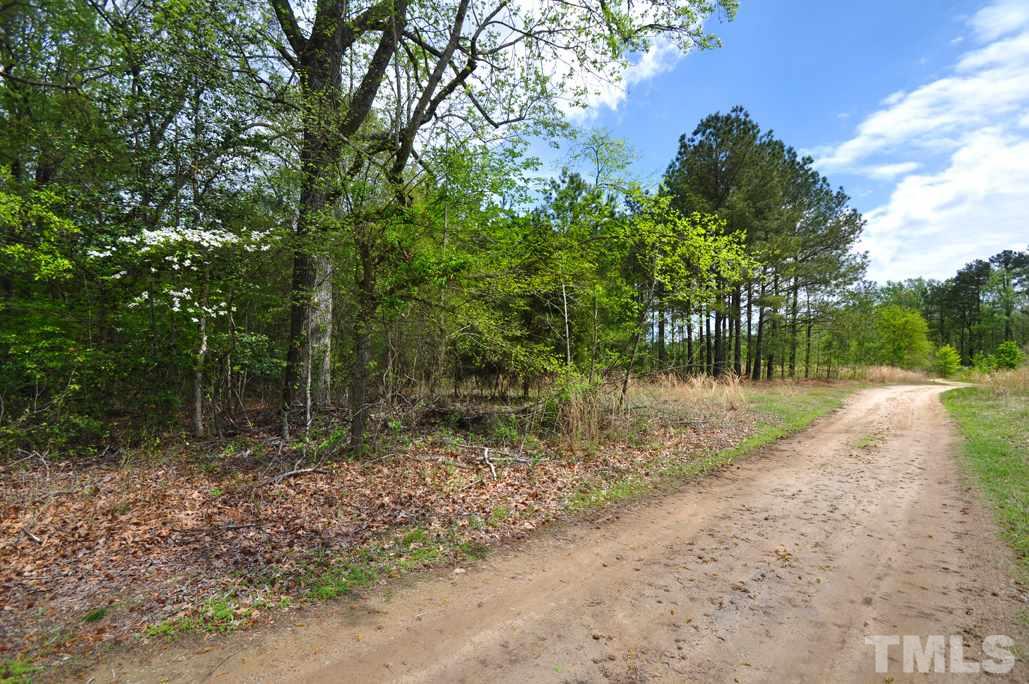 489 Alston Road Apex, NC 27523 - Photo 16 of 25 Gallery Image 16