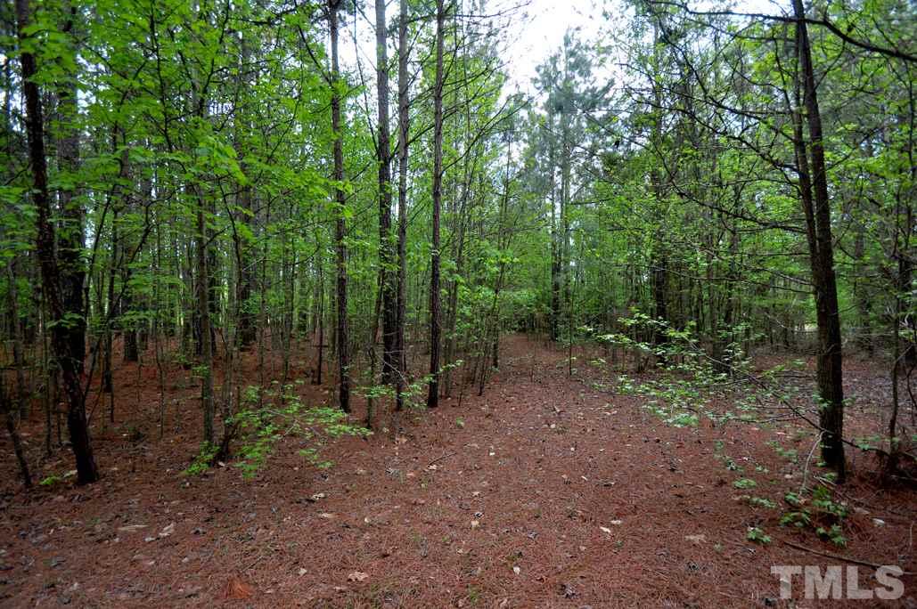 489 Alston Road Apex, NC 27523 - Photo 9 of 25 Gallery Image 9