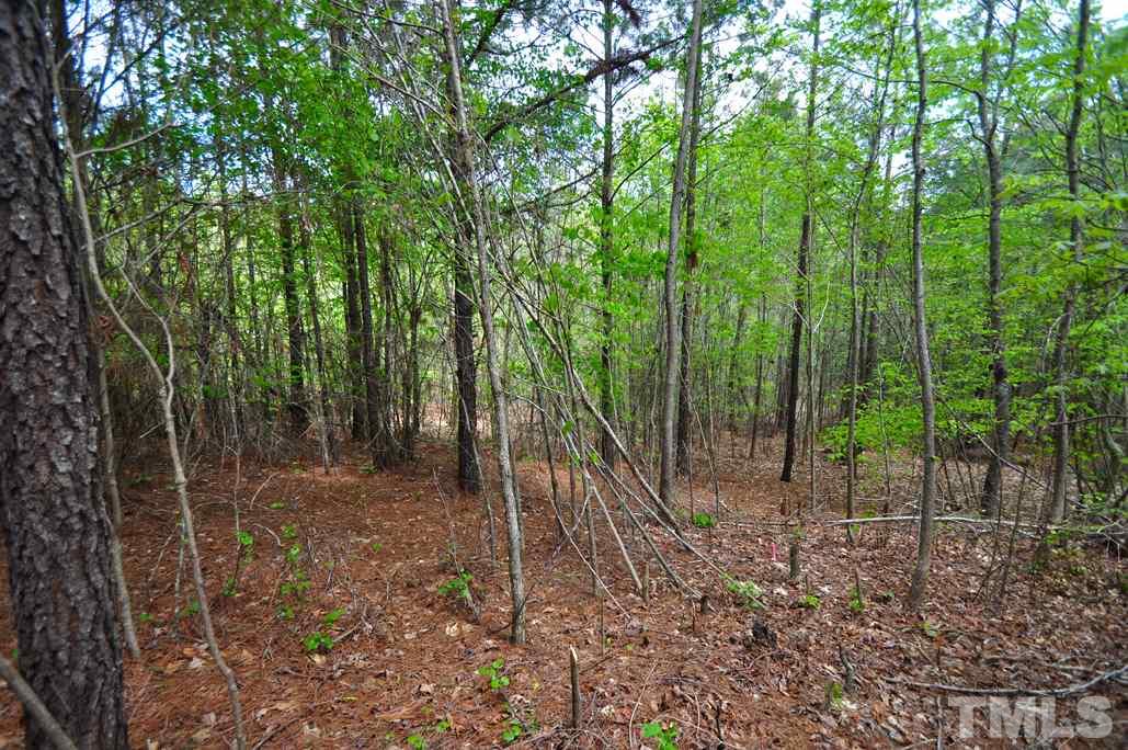 489 Alston Road Apex, NC 27523 - Photo 10 of 25 Gallery Image 10
