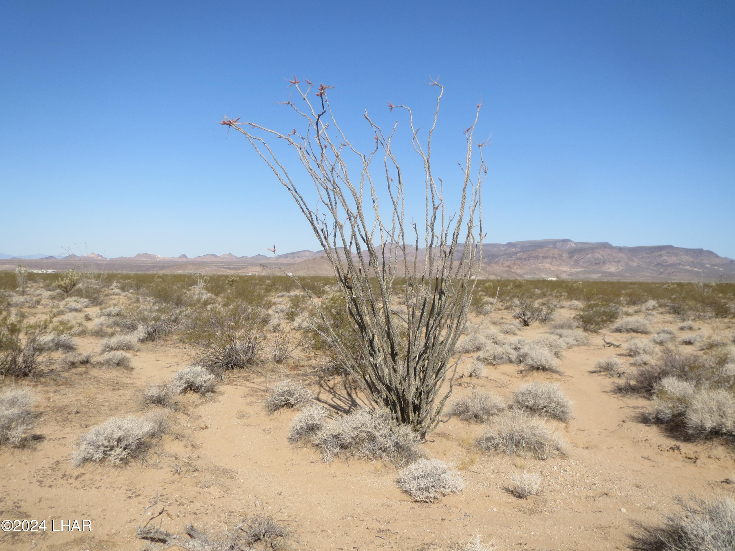 Lot 49-51 Rio Vista Topock, AZ 86436 - Photo 2 of 11 Area of property parcel