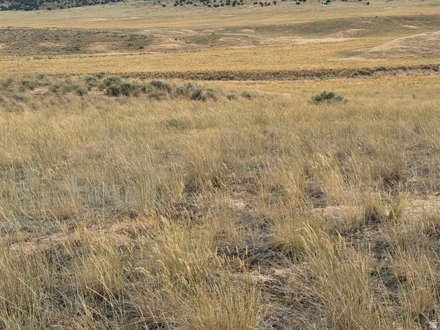 16 Old Dam Road, Unit 16 Levan, UT 84639 - Photo 5 of 9