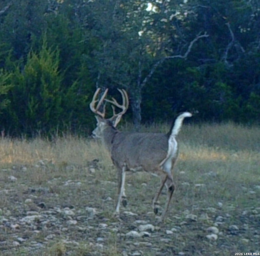 13217 Turner Road Menard, TX 76859 - Photo 99 of 107 Gallery Image 99