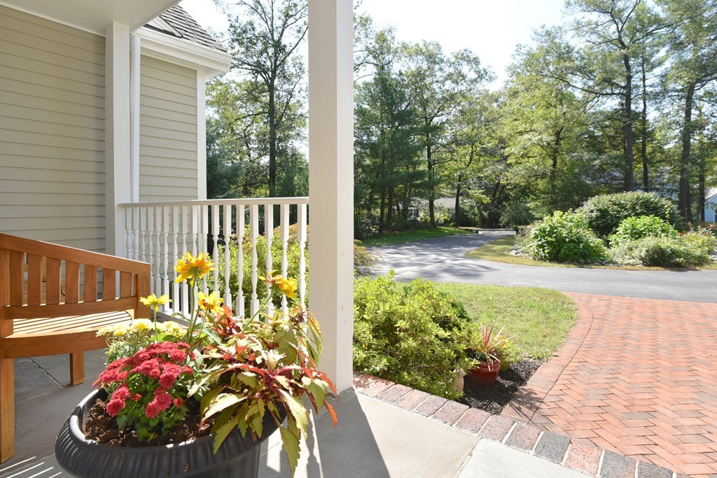 283 Potter Road Framingham, MA 01701 - Photo 6 of 29 a view of a garden with patio