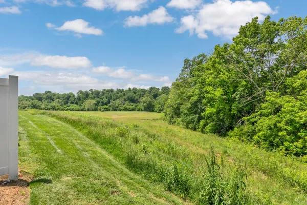 a house view with a garden space