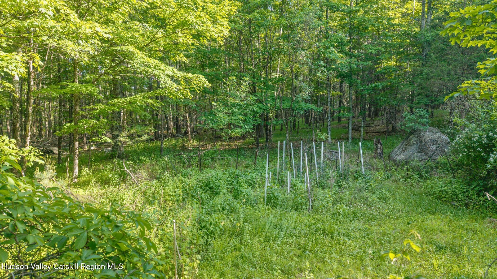 4533 Atwood Road Stone Ridge, NY 12484 - Photo 61 of 63 a backyard of a house with lots of green space and chair
