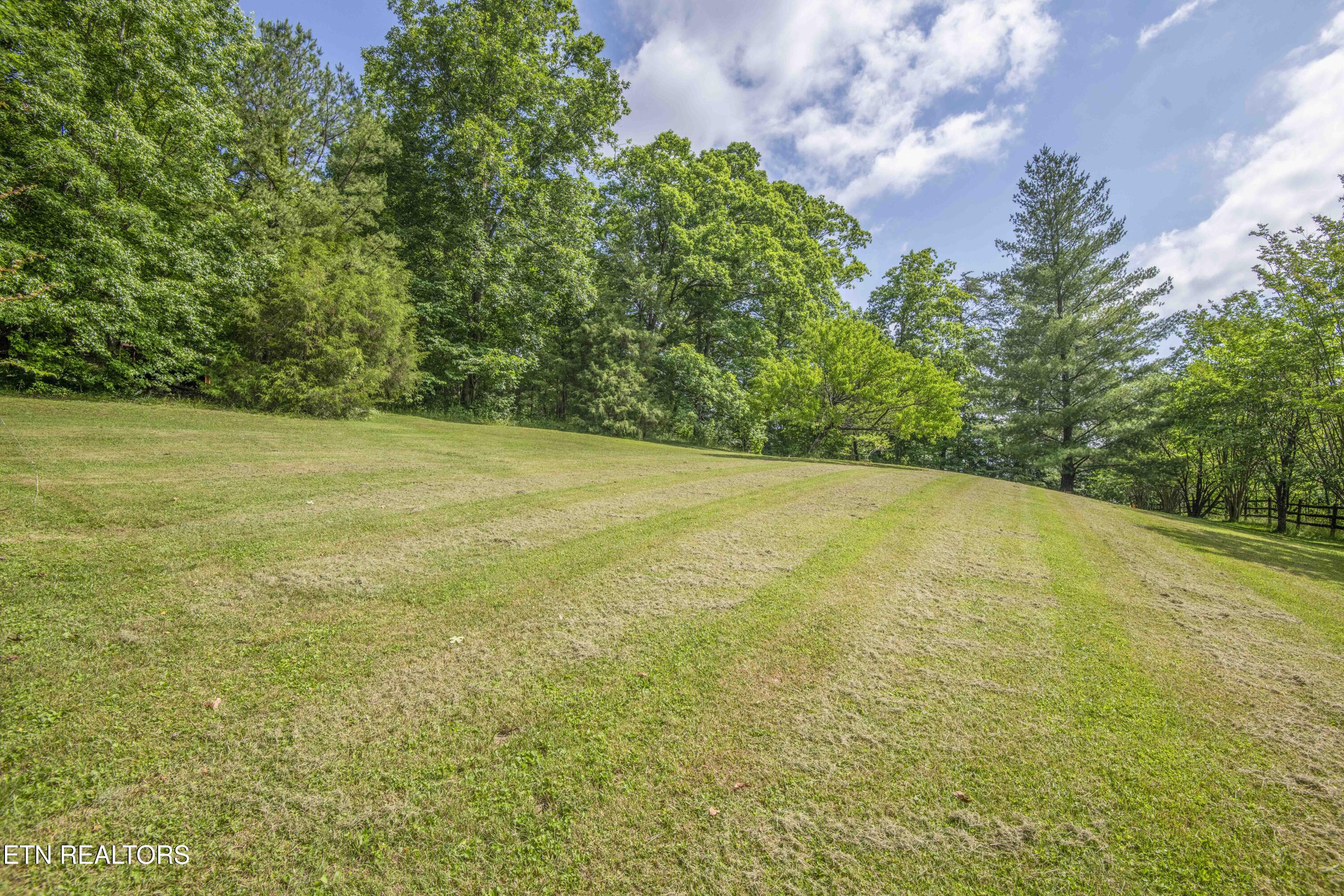 17761 Alberta Street Oneida, TN 37841 - Photo 52 of 56 yard 19_1
