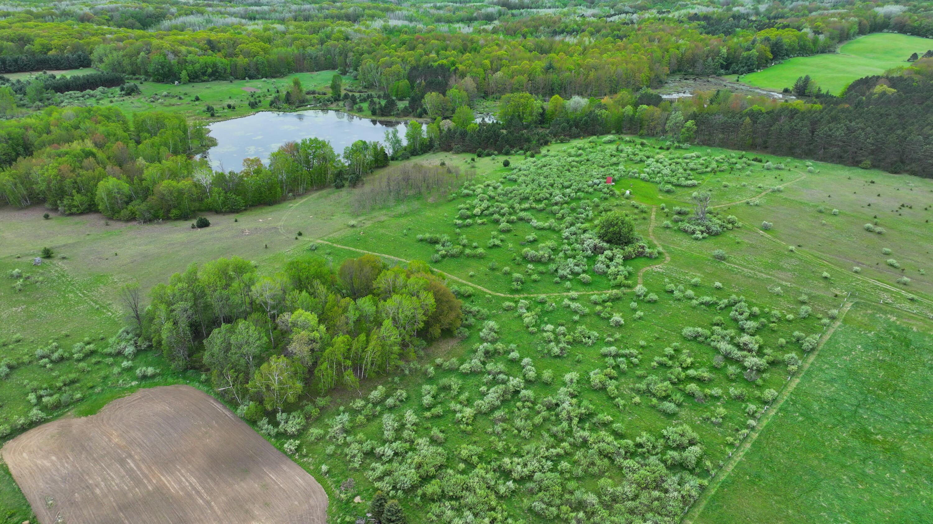 17793 7 Mile Road Reed City, MI 49677 - Photo 54 of 66 DJI_20250521132625_0075_D